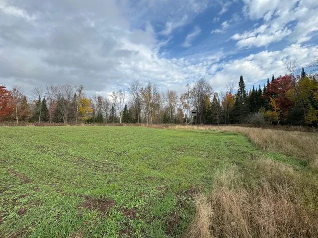 $449,000 | 110-acres County Rd O, Bruce, WI 54819