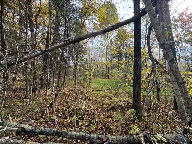 $449,000 | 110-acres County Rd O, Bruce, WI 54819