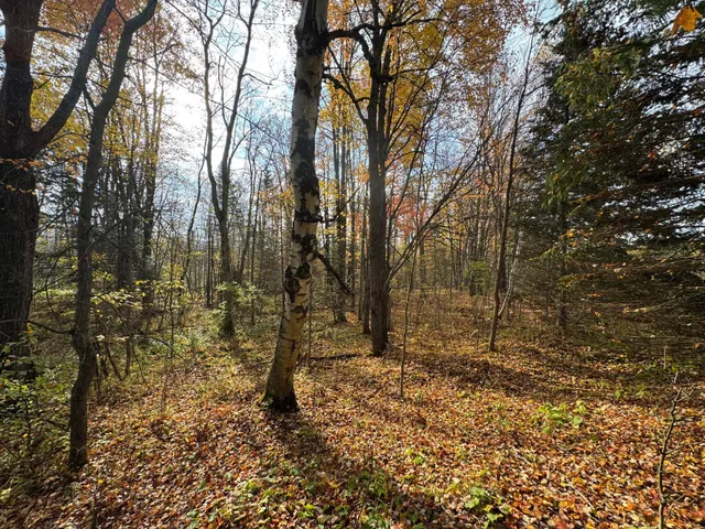$449,000 | 110-acres County Rd O, Bruce, WI 54819