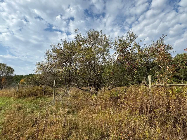 $449,000 | 110-acres County Rd O, Bruce, WI 54819