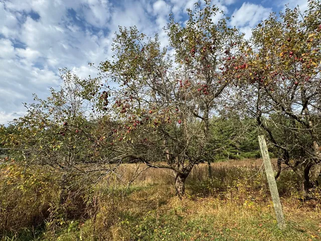 $449,000 | 110-acres County Rd O, Bruce, WI 54819