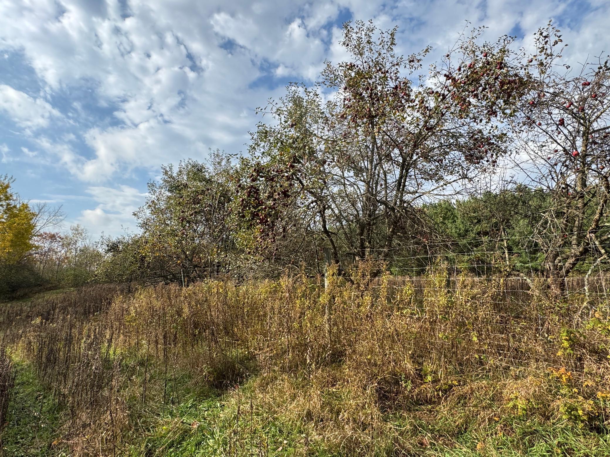 110-acres County Rd O Bruce, WI 54819 - Photo 55 of 70