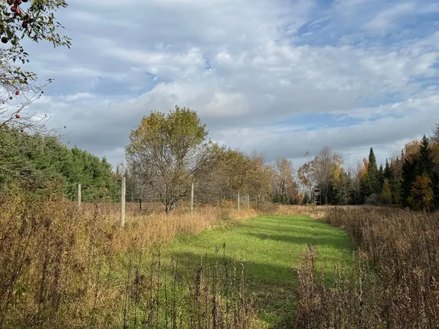 $449,000 | 110-acres County Rd O, Bruce, WI 54819