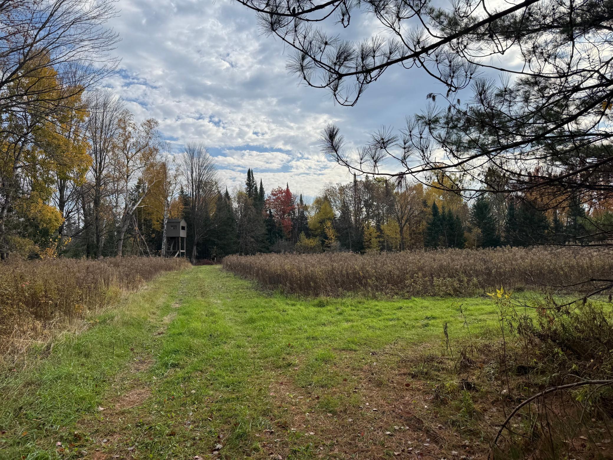 110-acres County Rd O Bruce, WI 54819 - Photo 57 of 70