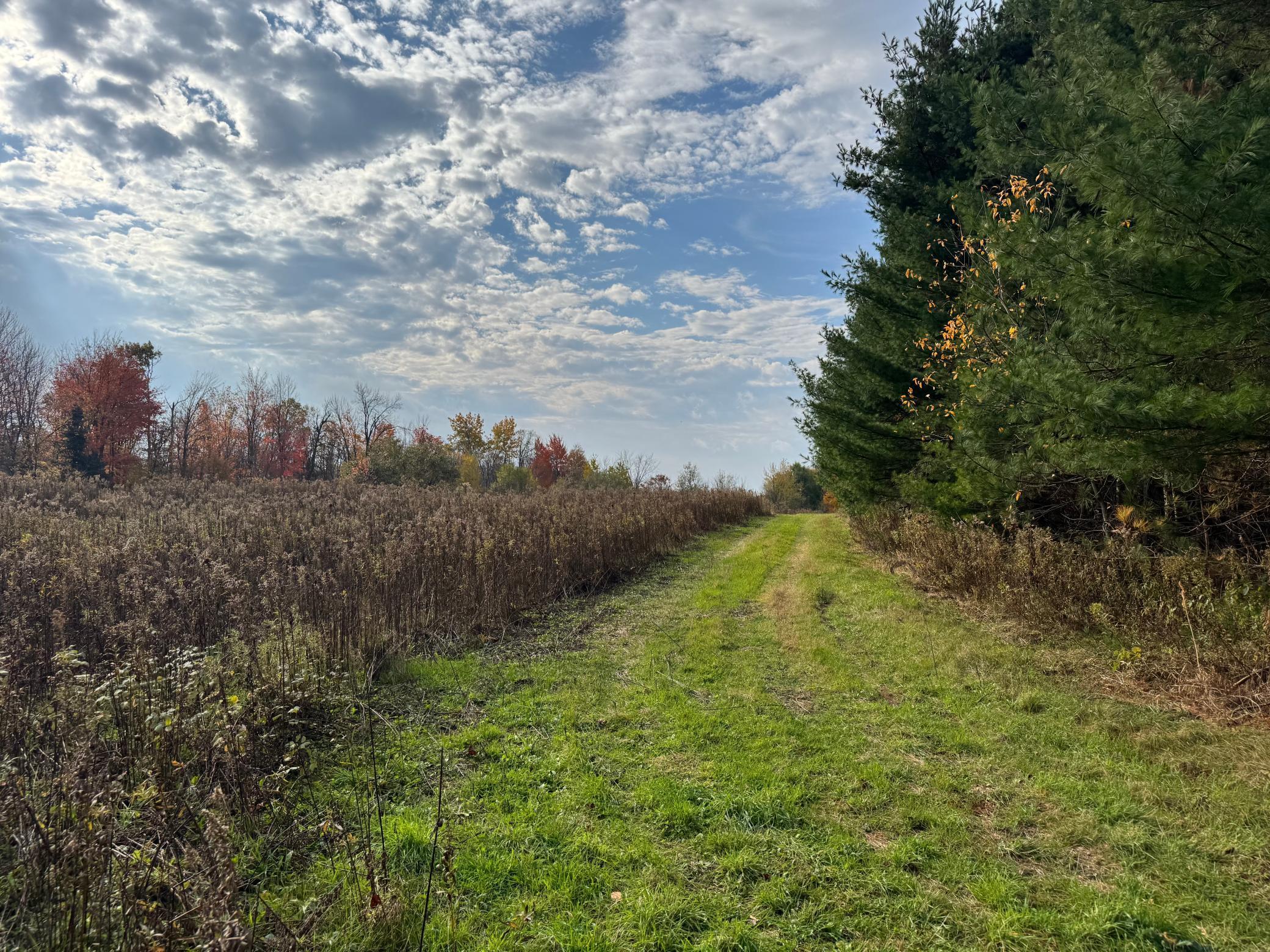 110-acres County Rd O Bruce, WI 54819 - Photo 58 of 70