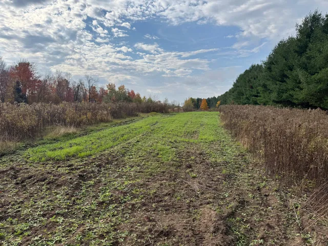 $449,000 | 110-acres County Rd O, Bruce, WI 54819