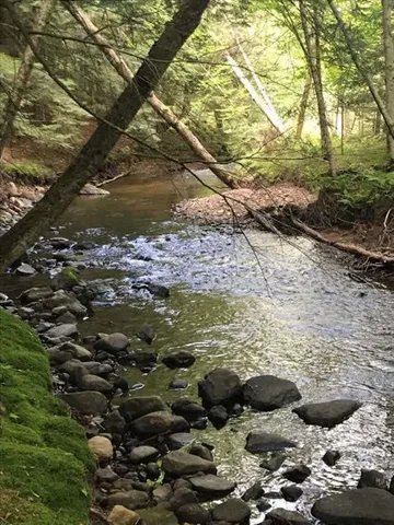 $449,000 | 110-acres County Rd O, Bruce, WI 54819