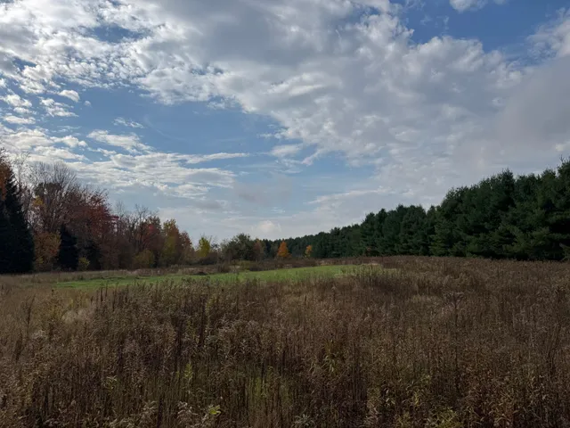 $449,000 | 110-acres County Rd O, Bruce, WI 54819