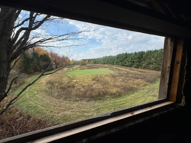 $449,000 | 110-acres County Rd O, Bruce, WI 54819