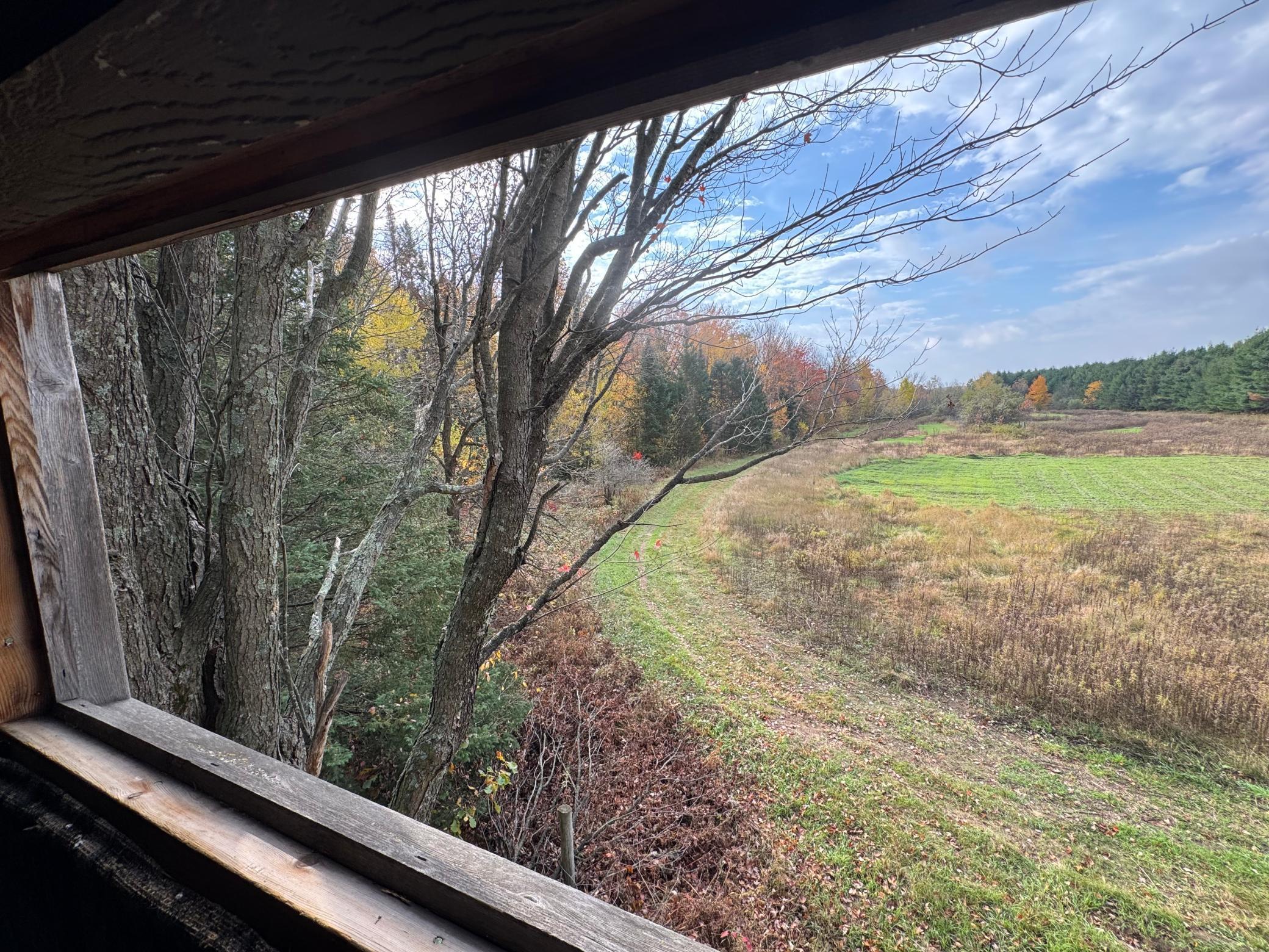110-acres County Rd O Bruce, WI 54819 - Photo 63 of 70