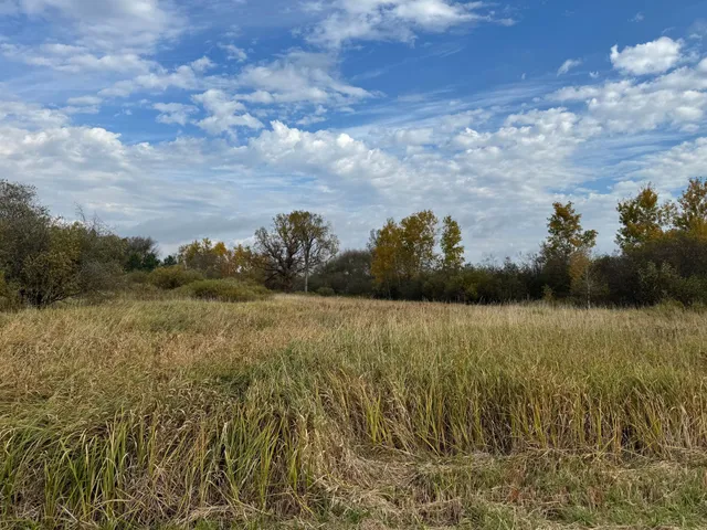 $449,000 | 110-acres County Rd O, Bruce, WI 54819