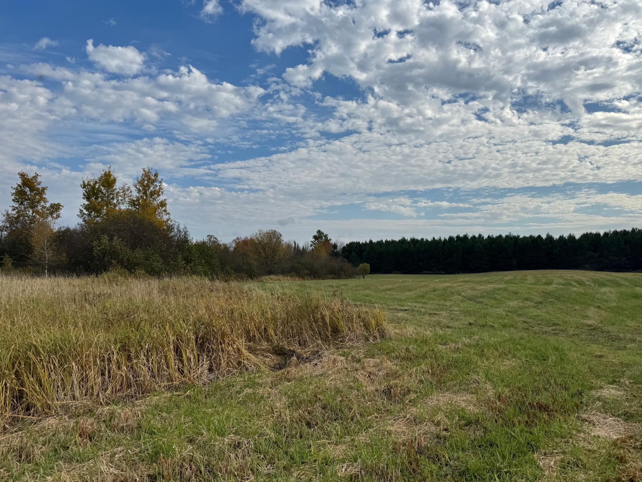 110-acres County Rd O Bruce, WI 54819 - Photo 65 of 70
