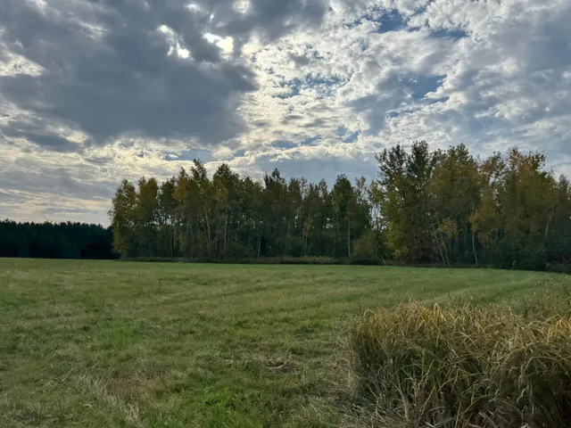 $449,000 | 110-acres County Rd O, Bruce, WI 54819