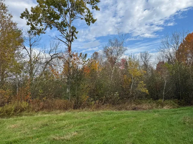 $449,000 | 110-acres County Rd O, Bruce, WI 54819