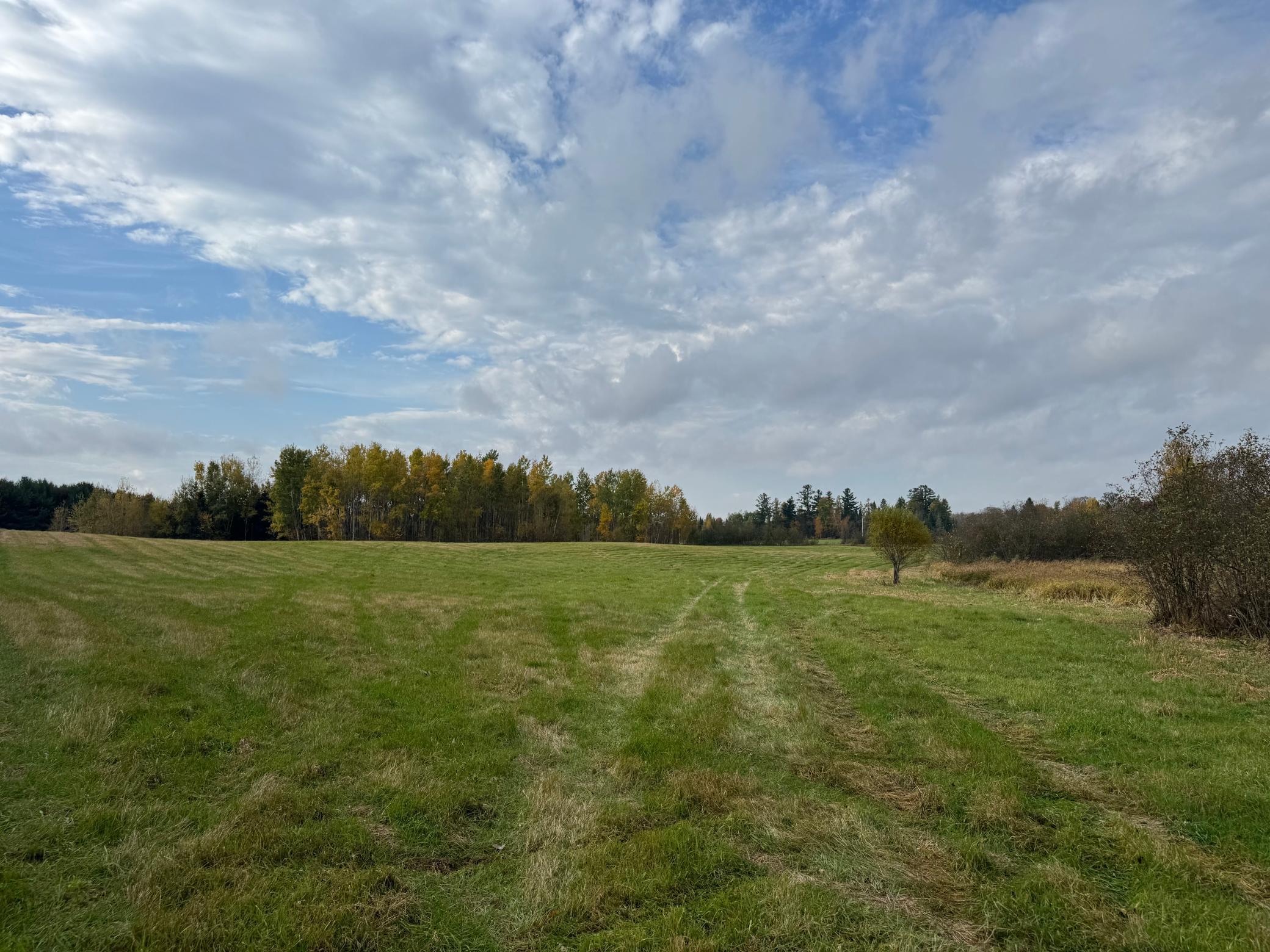 110-acres County Rd O Bruce, WI 54819 - Photo 68 of 70