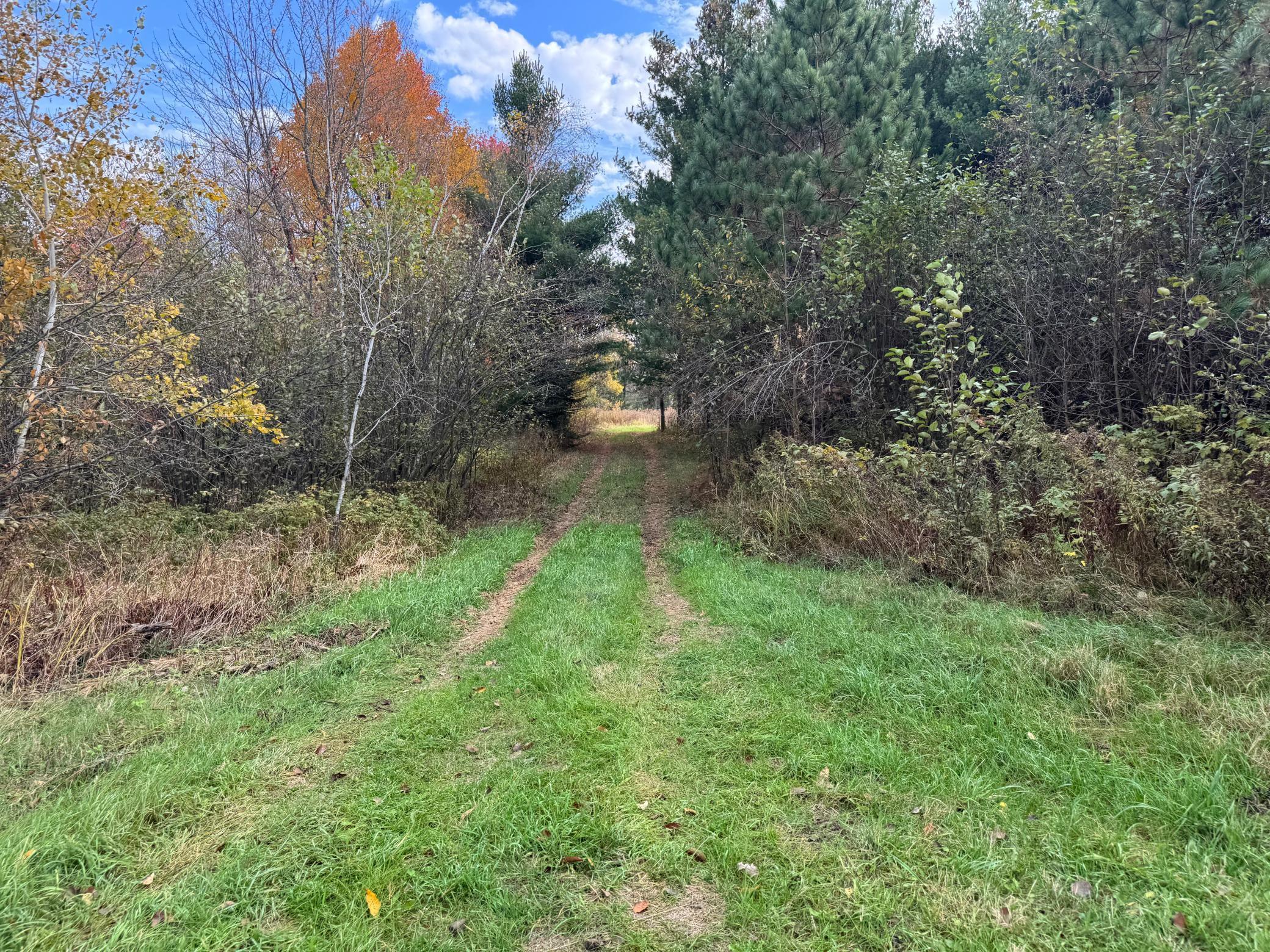 110-acres County Rd O Bruce, WI 54819 - Photo 69 of 70