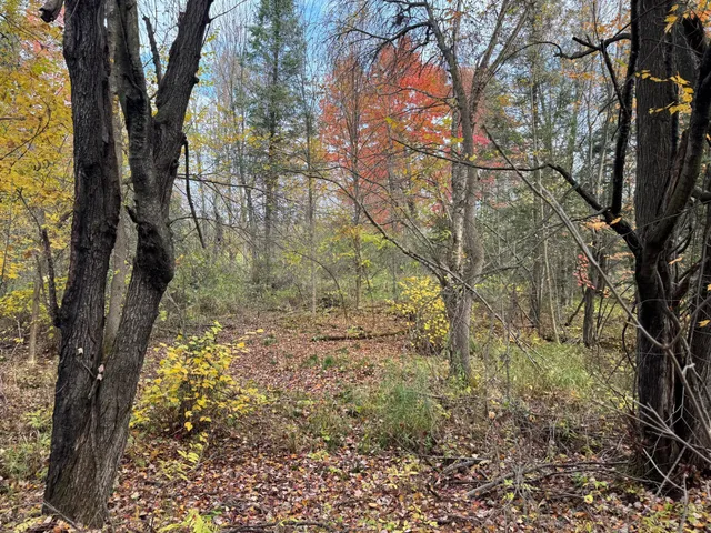 $449,000 | 110-acres County Rd O, Bruce, WI 54819