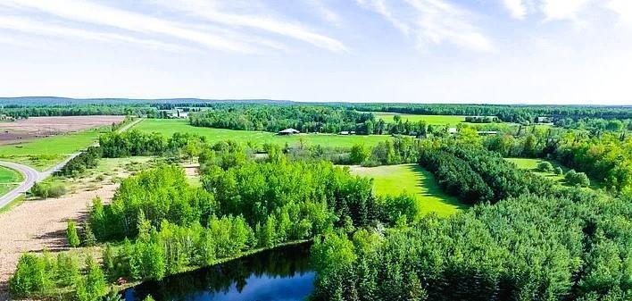 110-acres County Rd O Bruce, WI 54819 - Photo 7 of 70