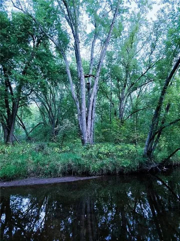 $449,000 | 110-acres County Rd O, Bruce, WI 54819