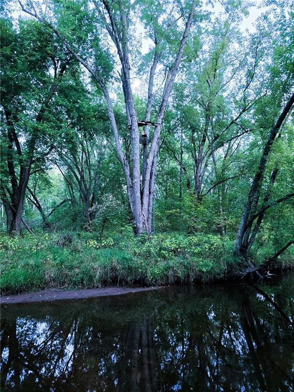 110-acres County Rd O Bruce, WI 54819 - Photo 8 of 70