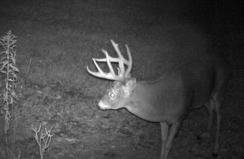 110-acres County Rd O Bruce, WI 54819 - Photo 9 of 70