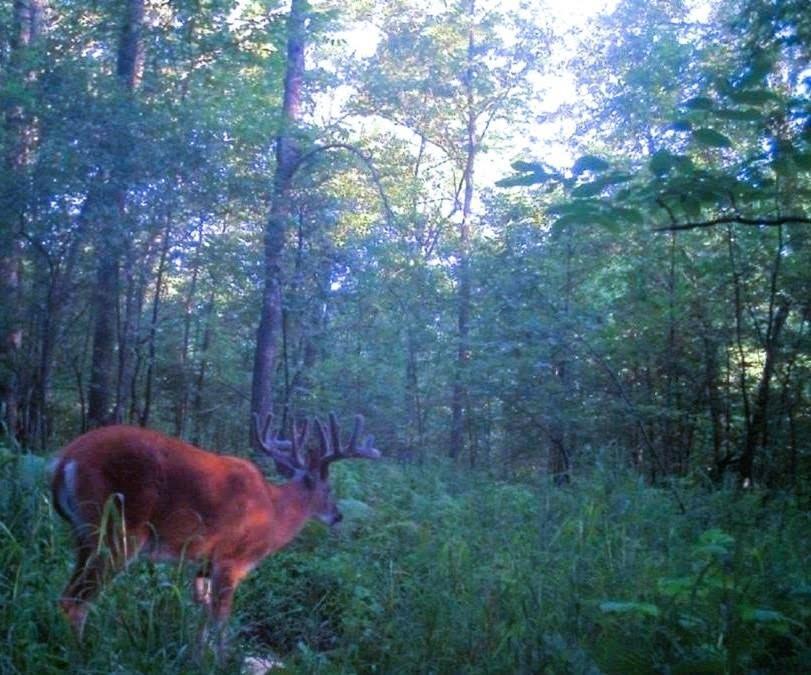 110-acres County Rd O Bruce, WI 54819 - Photo 10 of 70