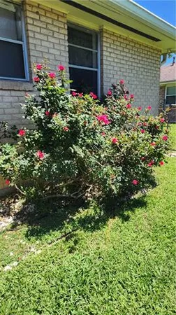 $1,200 | 4534 Park Drive South, Metairie, LA 70001
