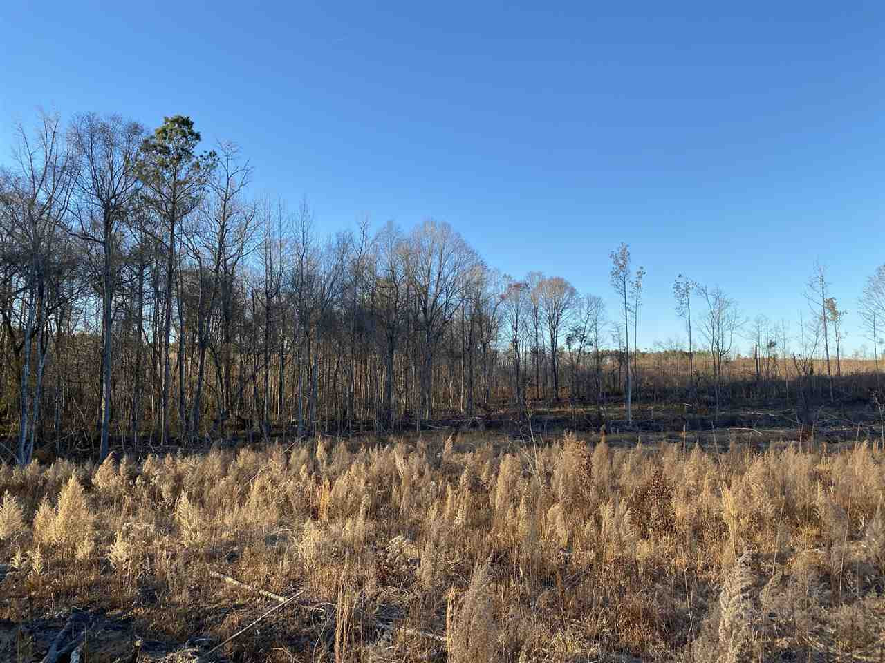 0 Bluff Springs Road Eupora, MS 39744 - Photo 1 of 7 Photo 1