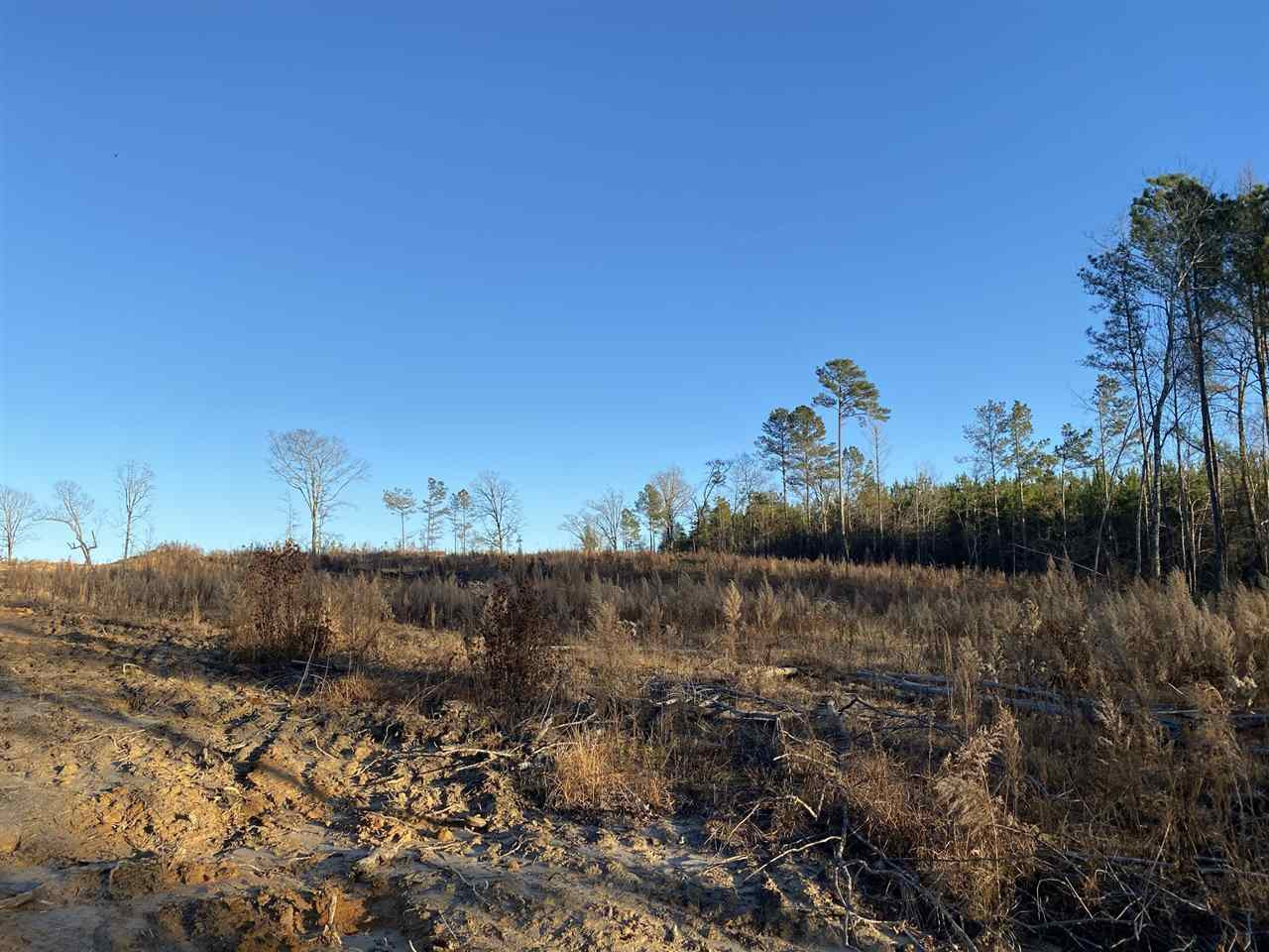 0 Bluff Springs Road Eupora, MS 39744 - Photo 4 of 7 Photo 4