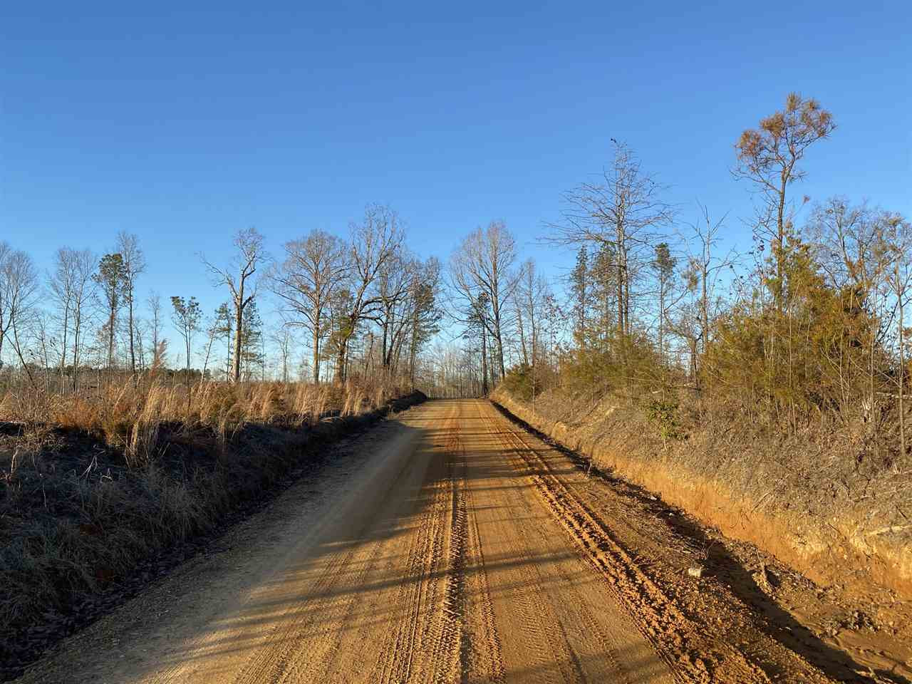 0 Bluff Springs Road Eupora, MS 39744 - Photo 5 of 7 Photo 5