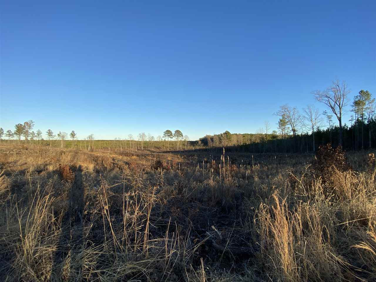 0 Bluff Springs Road Eupora, MS 39744 - Photo 7 of 7 Photo 7