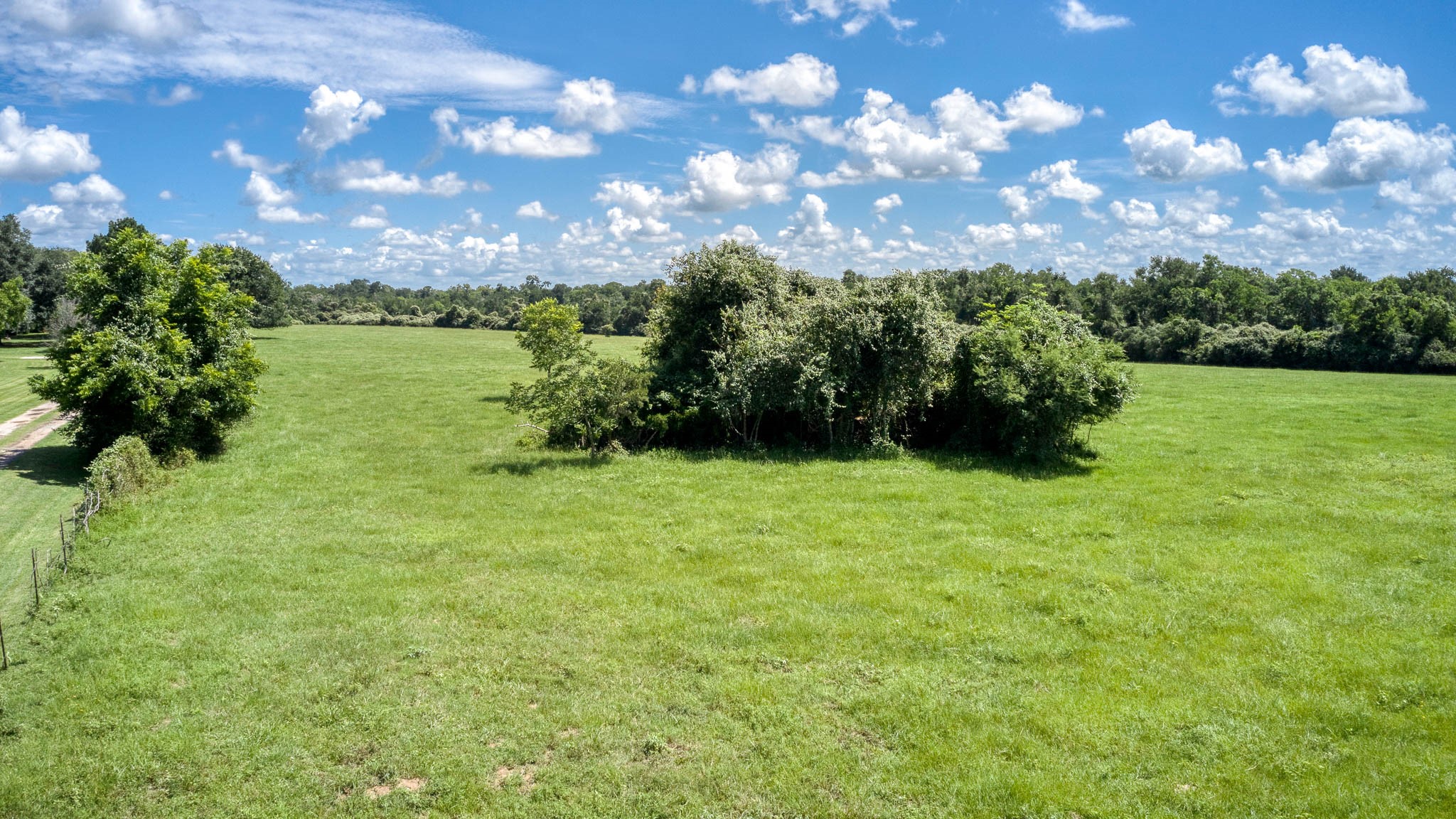 Tbd Holik Road Hempstead, TX 77445 - Photo 8 of 50