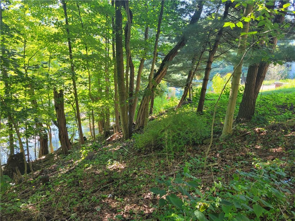 910 Valley Road Ambridge, PA 15003 - Photo 2 of 10 Gallery Image 2