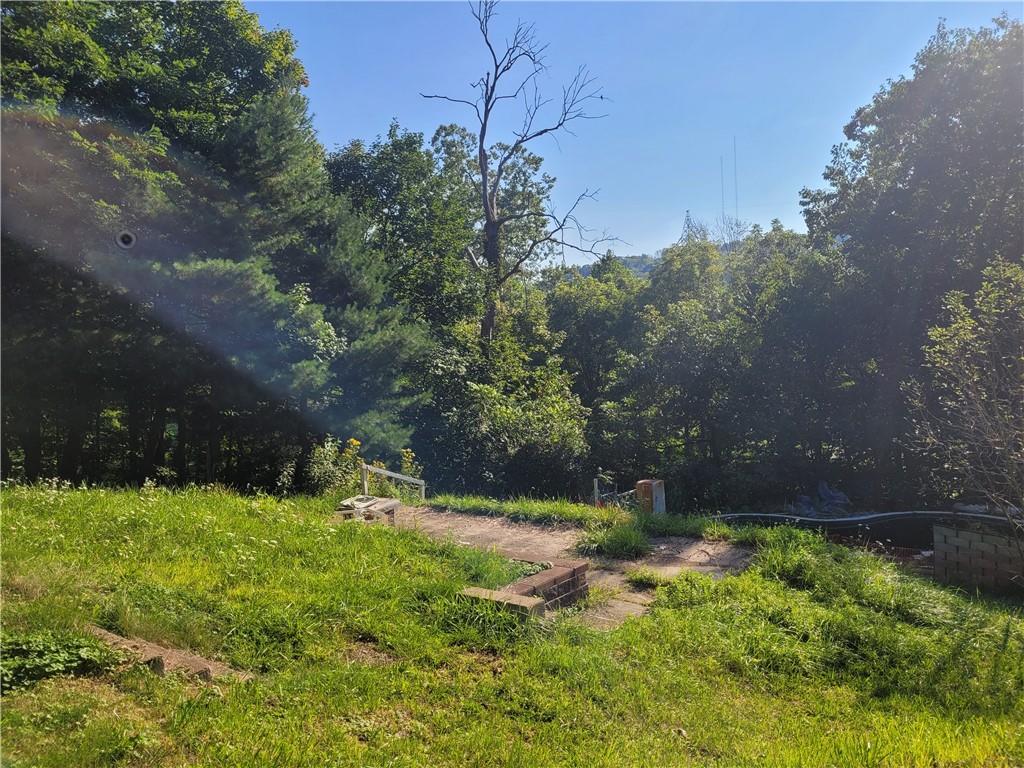 910 Valley Road Ambridge, PA 15003 - Photo 3 of 10 Gallery Image 3
