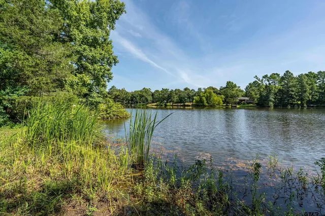 a view of lake with green space