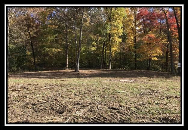 1476 Whetstone Road Bainbridge, OH 45612 - Photo 8 of 37 image008