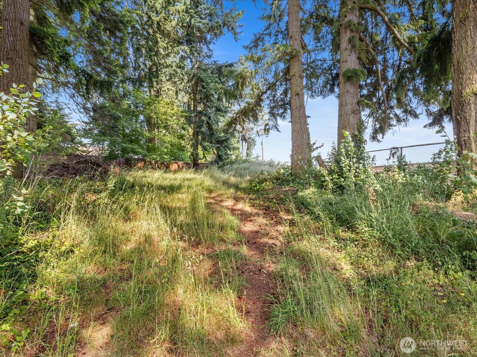 4913 West View Drive Everett, WA 98203 - Photo 26 of 37 a view of yard with green space