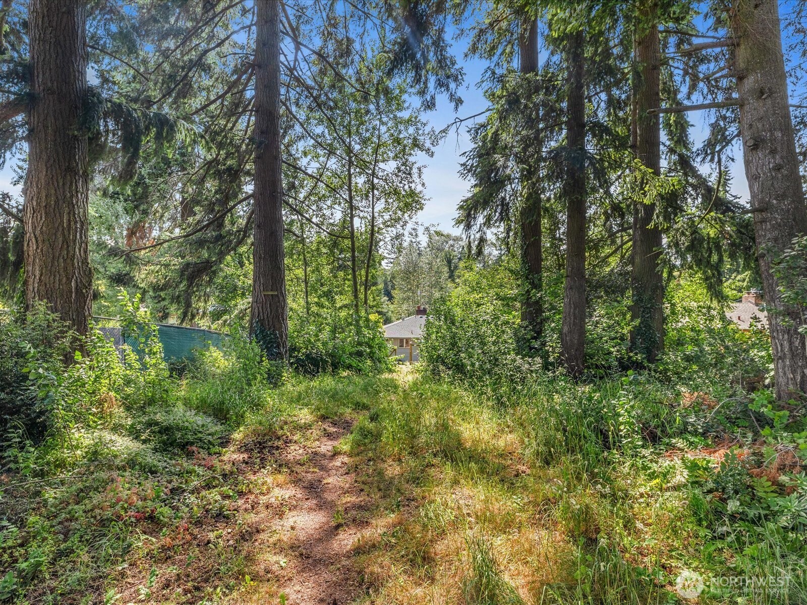 4913 West View Drive Everett, WA 98203 - Photo 28 of 37 a view of a lush green forest