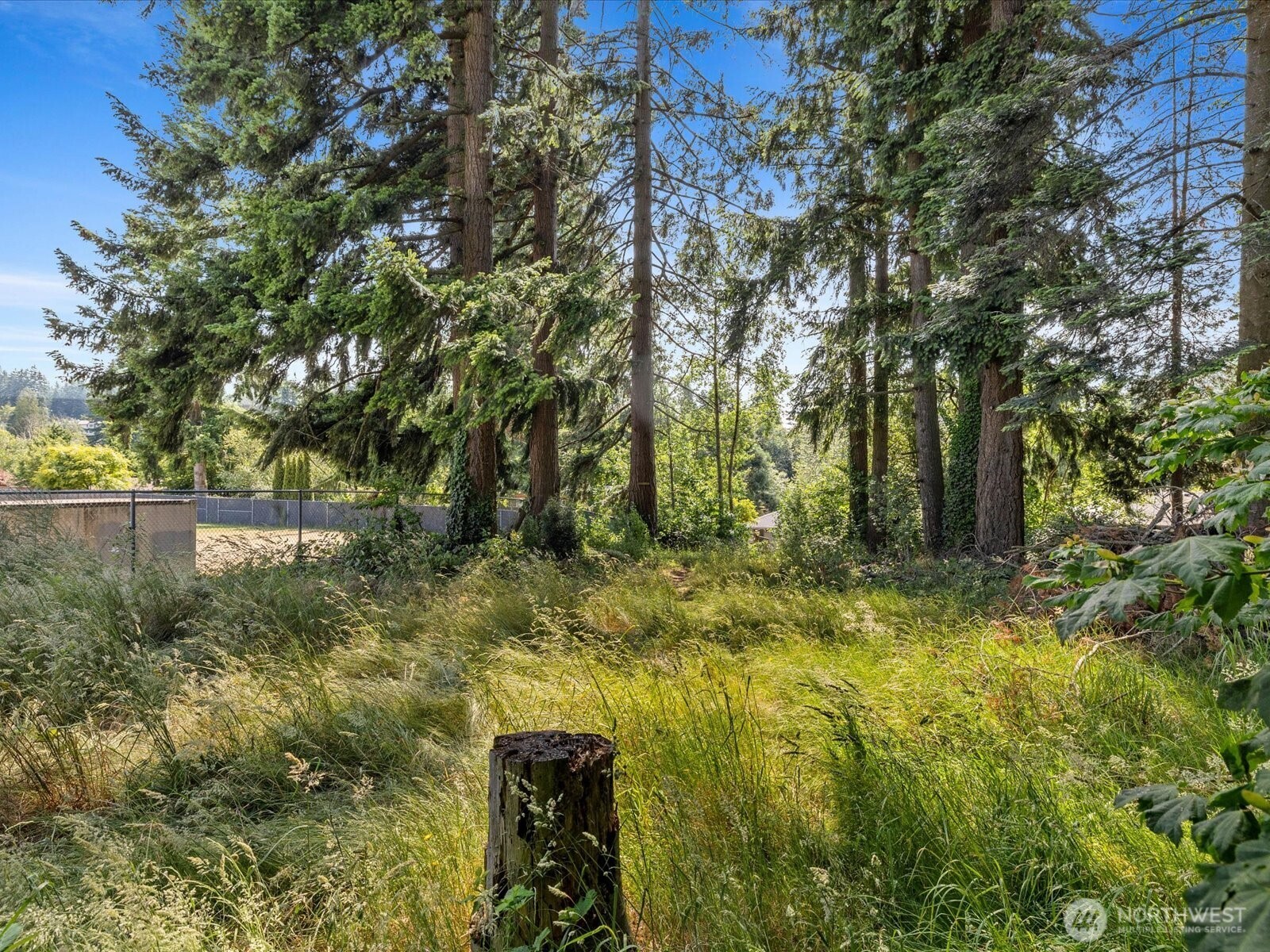 4913 West View Drive Everett, WA 98203 - Photo 29 of 37 a view of swimming pool next to a yard