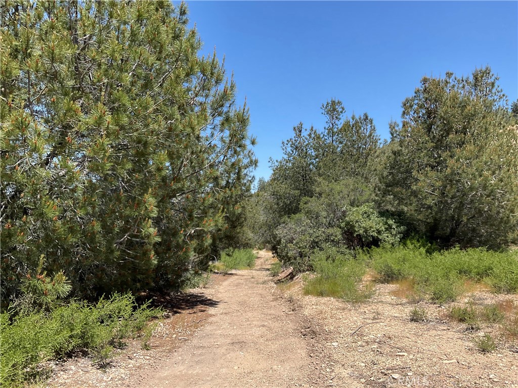 51 Argyle Road King City, CA 93930 - Photo 4 of 12