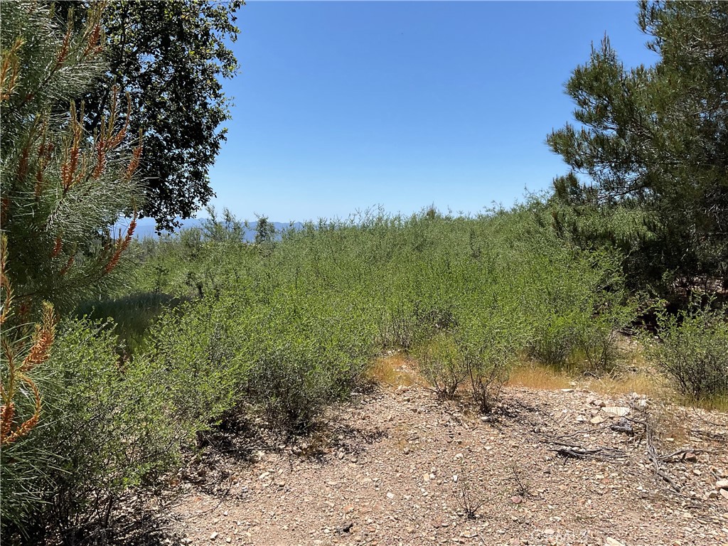 51 Argyle Road King City, CA 93930 - Photo 5 of 12