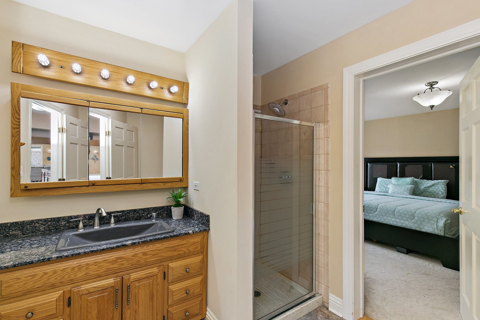 741 Braintree Lane Bartlett, IL 60103 - Photo 37 of 80 a en suite bathroom with a granite countertop sink and a mirror