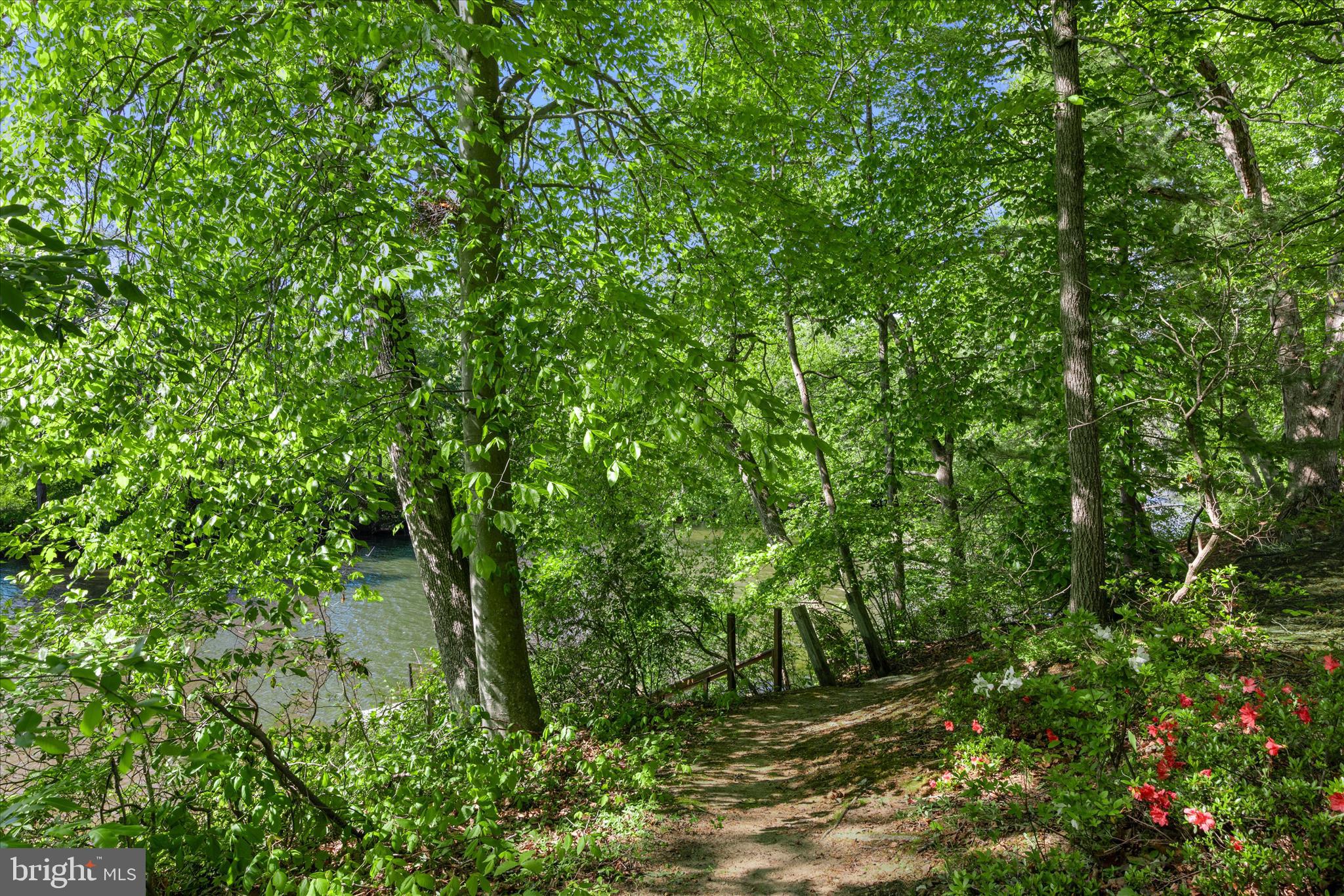 251 Rings End Road Millington, MD 21651 - Photo 36 of 47 a view of a lush green forest