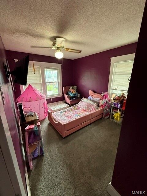 810 South State Street Litchfield, IL 62056 - Photo 13 of 18