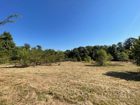 2 Alexandras Way Cleves, OH 45002 - Photo 8 of 16