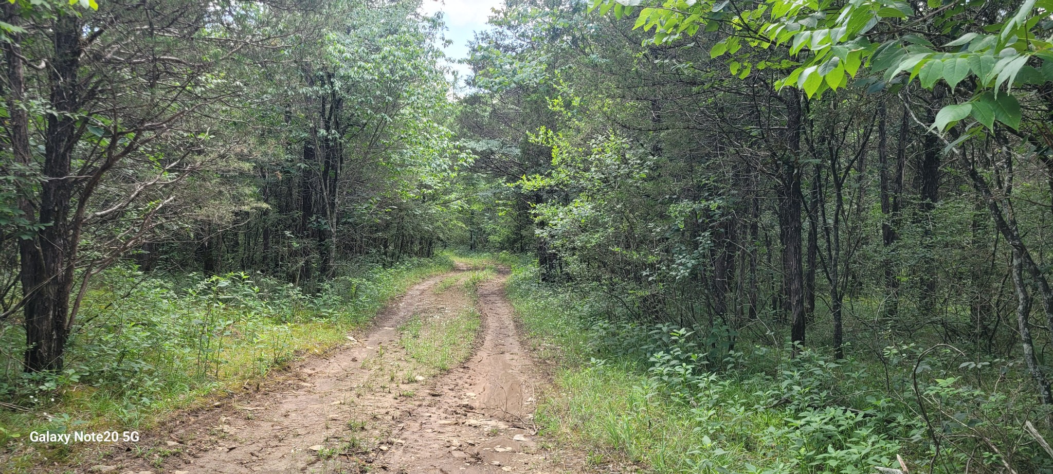 1 Clem Creek Road Chapel Hill, TN 37034 - Photo 12 of 12