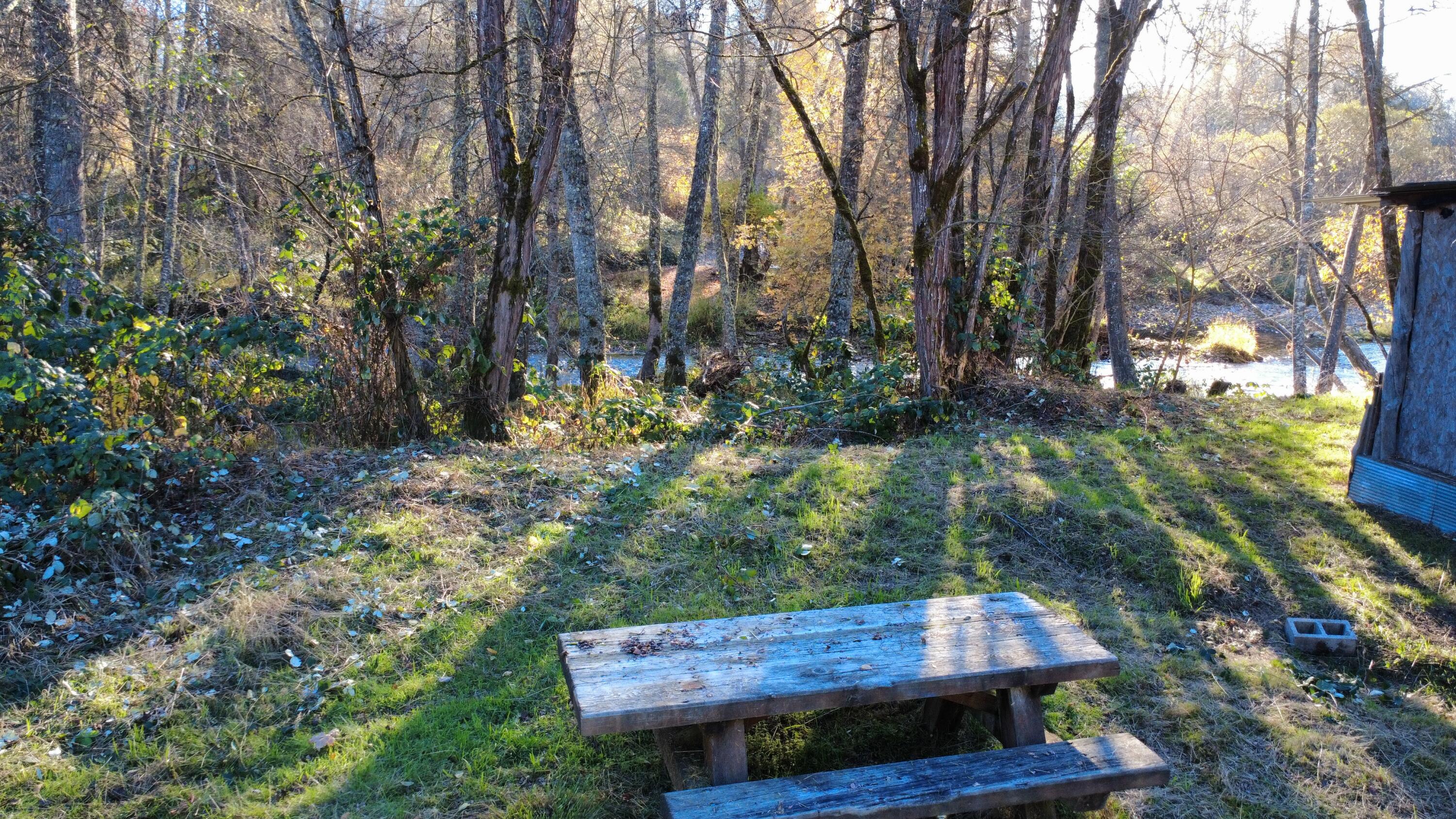 188 Pisqually Lane Azalea, OR 97410 - Photo 12 of 19 dji_fly_20251115_145534_65_1763247340830