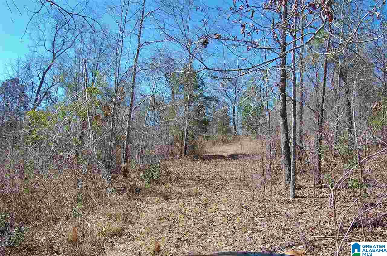0 Melissa Robyn Road, Unit 1 Deatsville, AL 36022 - Photo 18 of 29