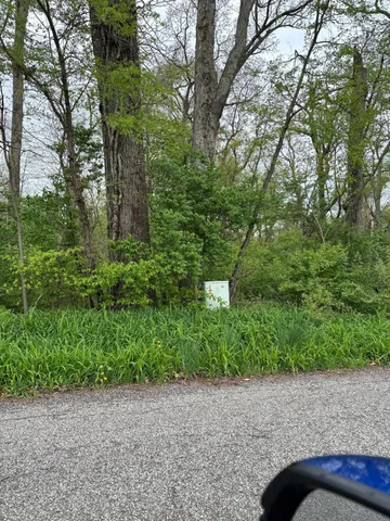 a view of outdoor space and yard