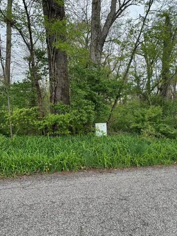 a view of a plants and trees